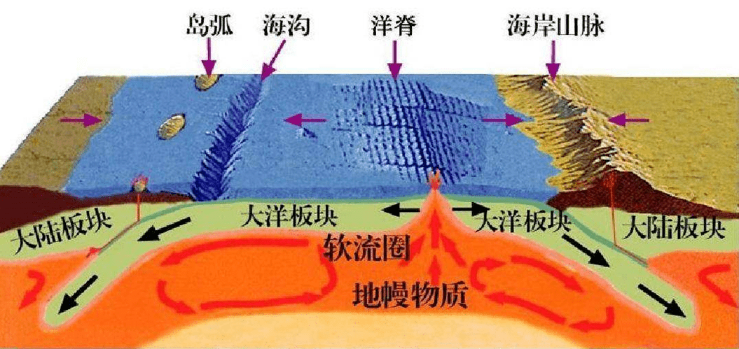 洋陆板块相互作用目前,板块构造学说已经成为固体地球科学的主流思想