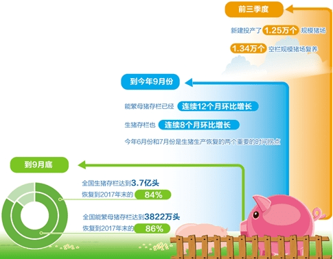 转型|猪肉价格七连降背后——生猪产量持续恢复 产业转型压力犹存