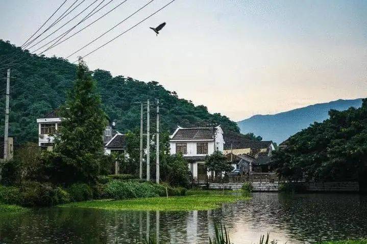 平阳这个古村有1700多年的历史,三面环水,一面靠山.