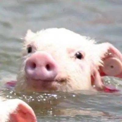 面膜|双十一囤货ing｜唤醒水光肌从它开始