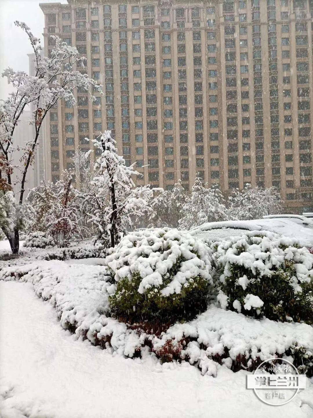 你哪里下雪吗?甘肃2020年第一场雪,各地美的不要不要的!