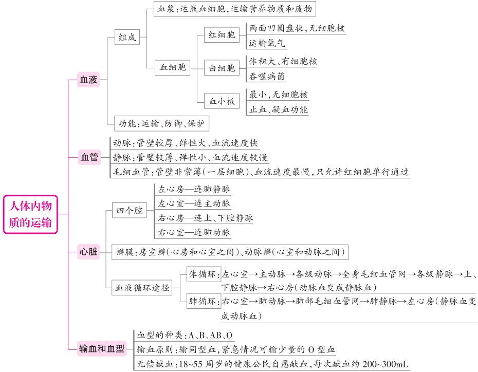 收藏|初中生物各章节知识概念图!