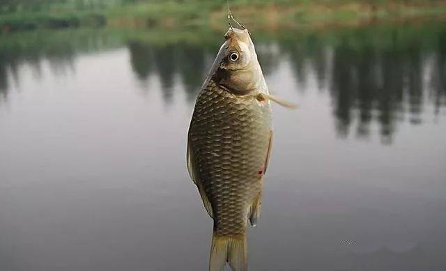 2f630c978cec4b0c8f4d07fe0a89dab5.jpeg