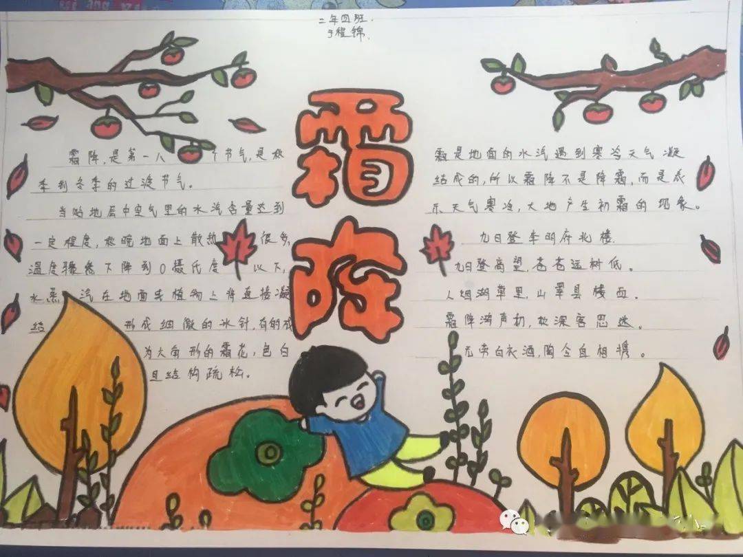 ‖书韵春华 传统文化系列(十七)---"霜降赏菊-霜降节气文化实践活动