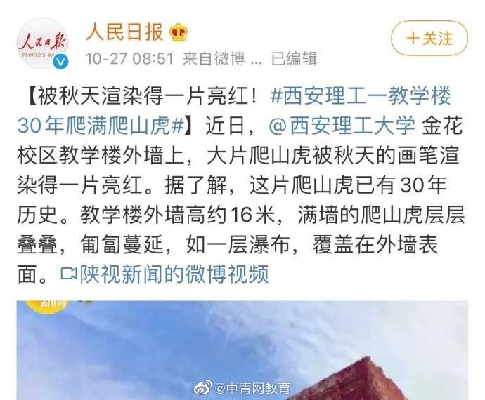 教学楼|网红楼！高校教学楼30年爬满爬山虎