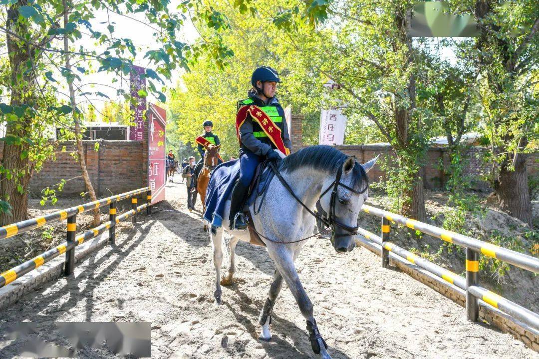 崔各庄再添马文化名片北京首条城市马道启动仪式在天星调良马术举办