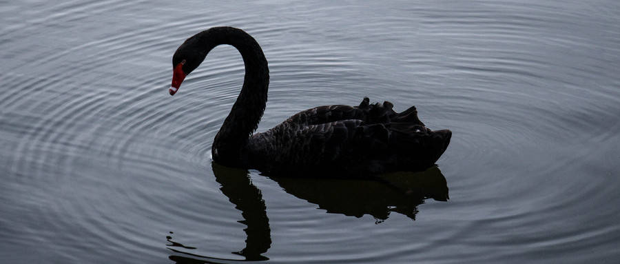 股份|实控人涉嫌操纵股市，这家业绩、股价连年下滑的通信公司发生了什么？