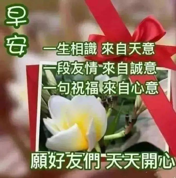 最新版非常漂亮的早上好表情图片 温馨早安心语语录