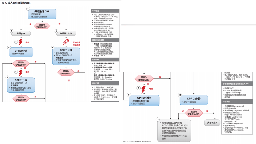 急救|2020年美国心脏协会心肺复苏及心血管急救指南