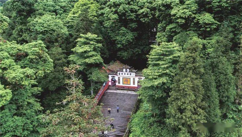 来荥经我氧你啊
