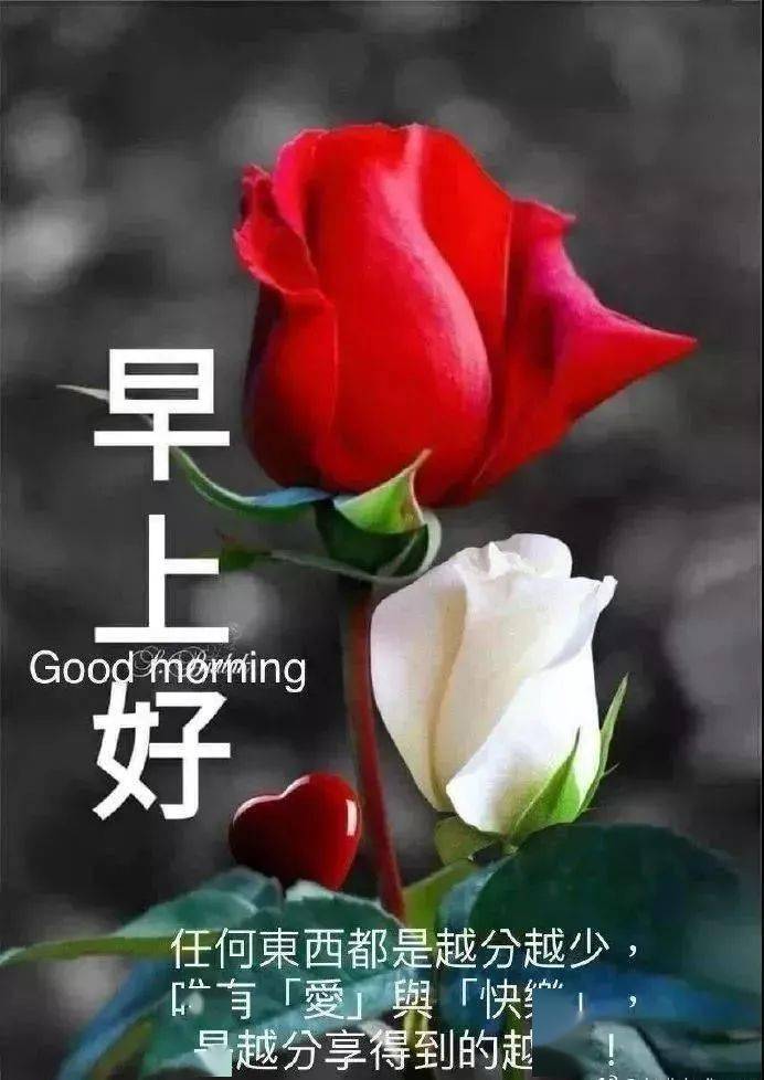 10月30日秋季清晨祝福暖心句子送给你,微信早上好祝福