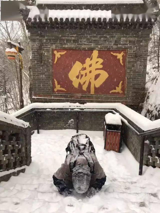 五台山下雪了,简直美成了仙境!