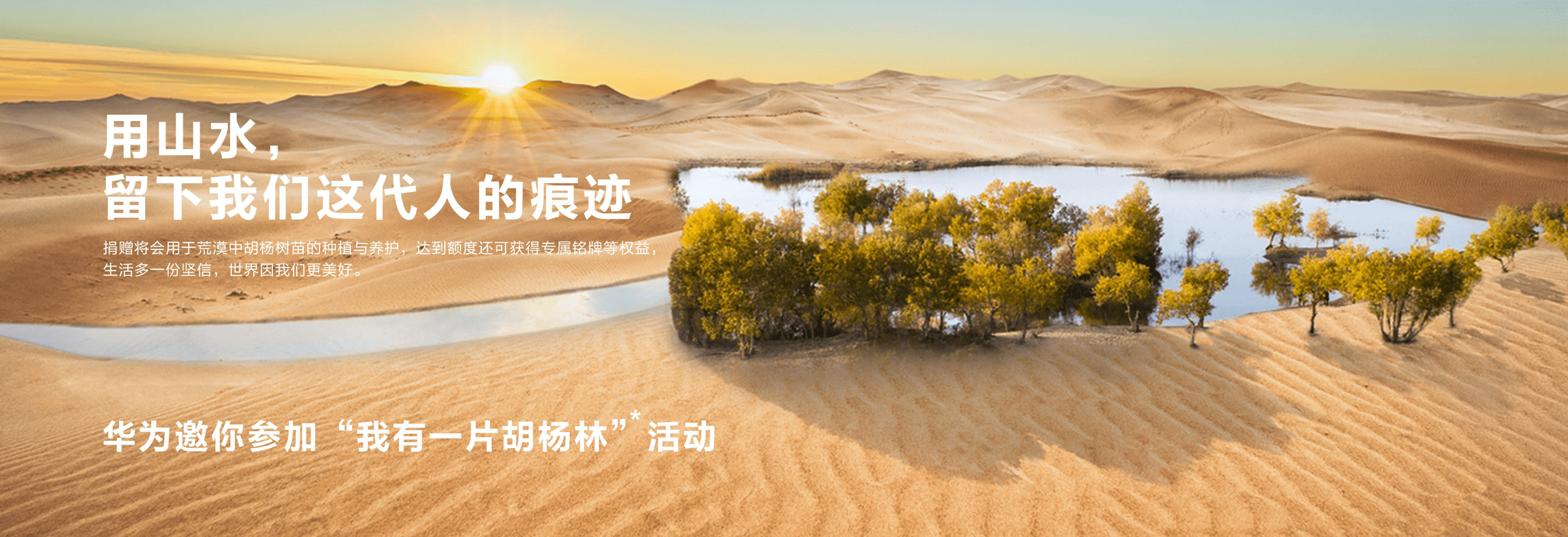 华为|“老外听不懂这个，所以上次发布会我没说”