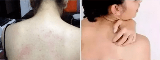 皮肤|雅顿身体乳涂一次，清爽一整天，让皮肤比丝绸还滑！全身亮成聚光灯！