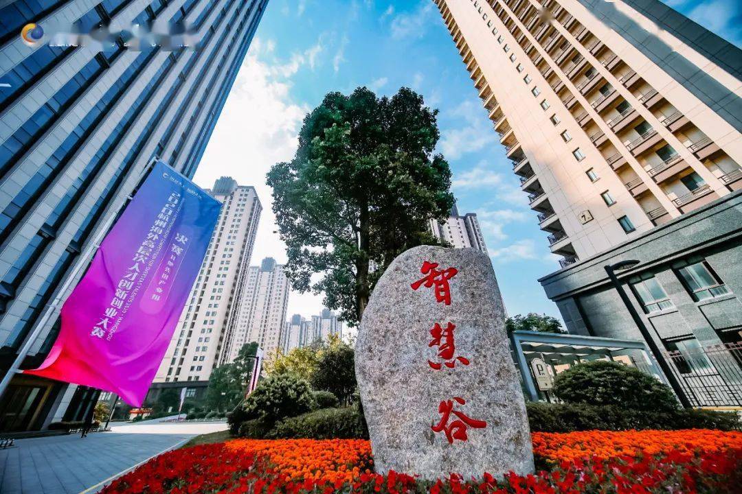 杭州钱塘新区2020年gdp_杭州钱塘新区东湖公园(3)