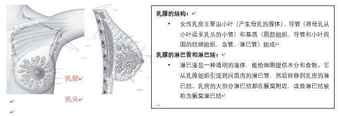 乳腺癌防治月 | 关注乳腺健康,你需要了解的这里都有