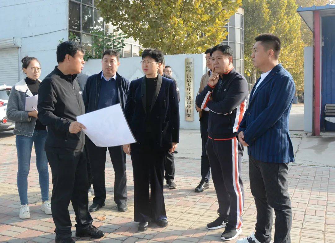 区委副书记代区长李秀娟调研我区落地项目建设情况