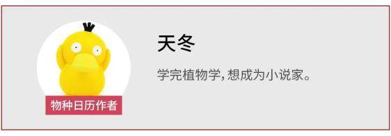 青年|柿子就像我磕的CP，要么好甜，要么好涩