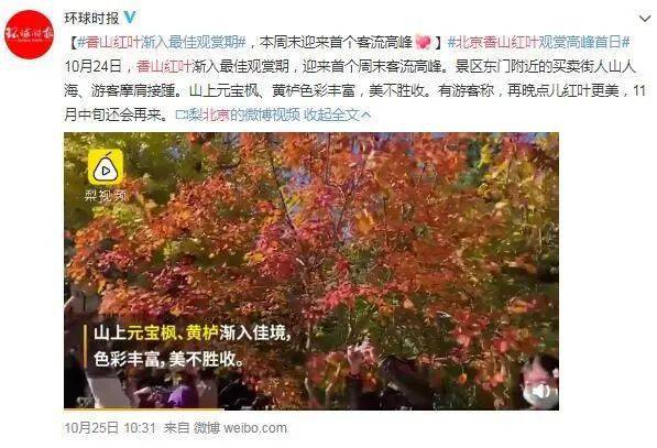 北京香山进入秋叶观赏季啦！西塘汉服节来了，网友：又能看到漂亮的小哥哥、小姐姐了！_旅客