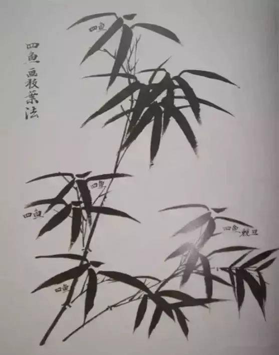 d25790f2ed6b4c8cb6958d82f344e207.jpeg