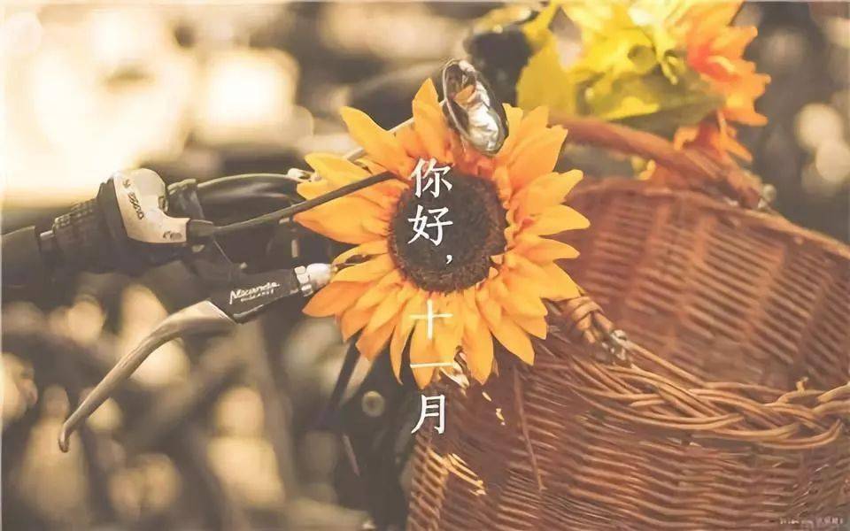 又要重新开始 每一天都孕育着新的希望 秋天就要过去 冬天即将到来
