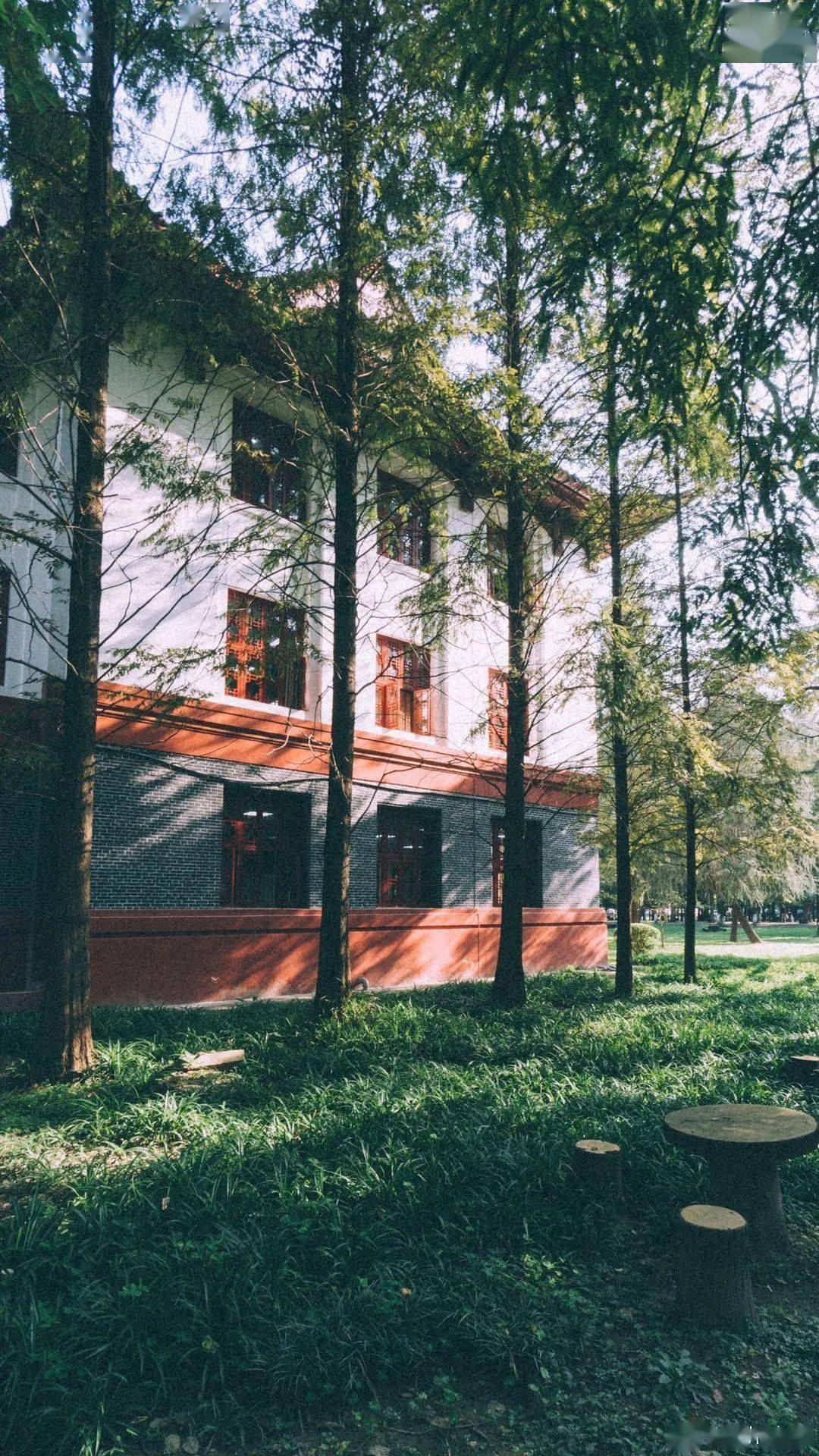 官宣|高校“官宣”秋景来了，有你的校园记忆吗？