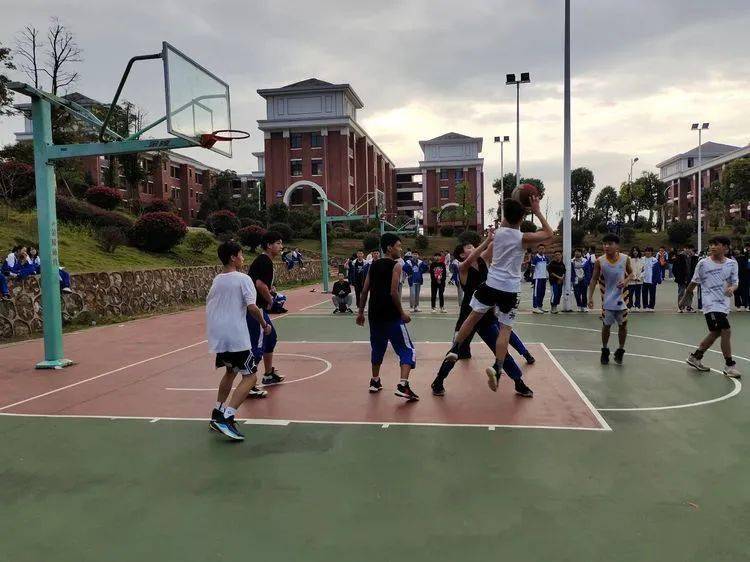 
第七届校园体育节——初中B部各项角逐正在火热举行……【IM电竞官网】(图6)