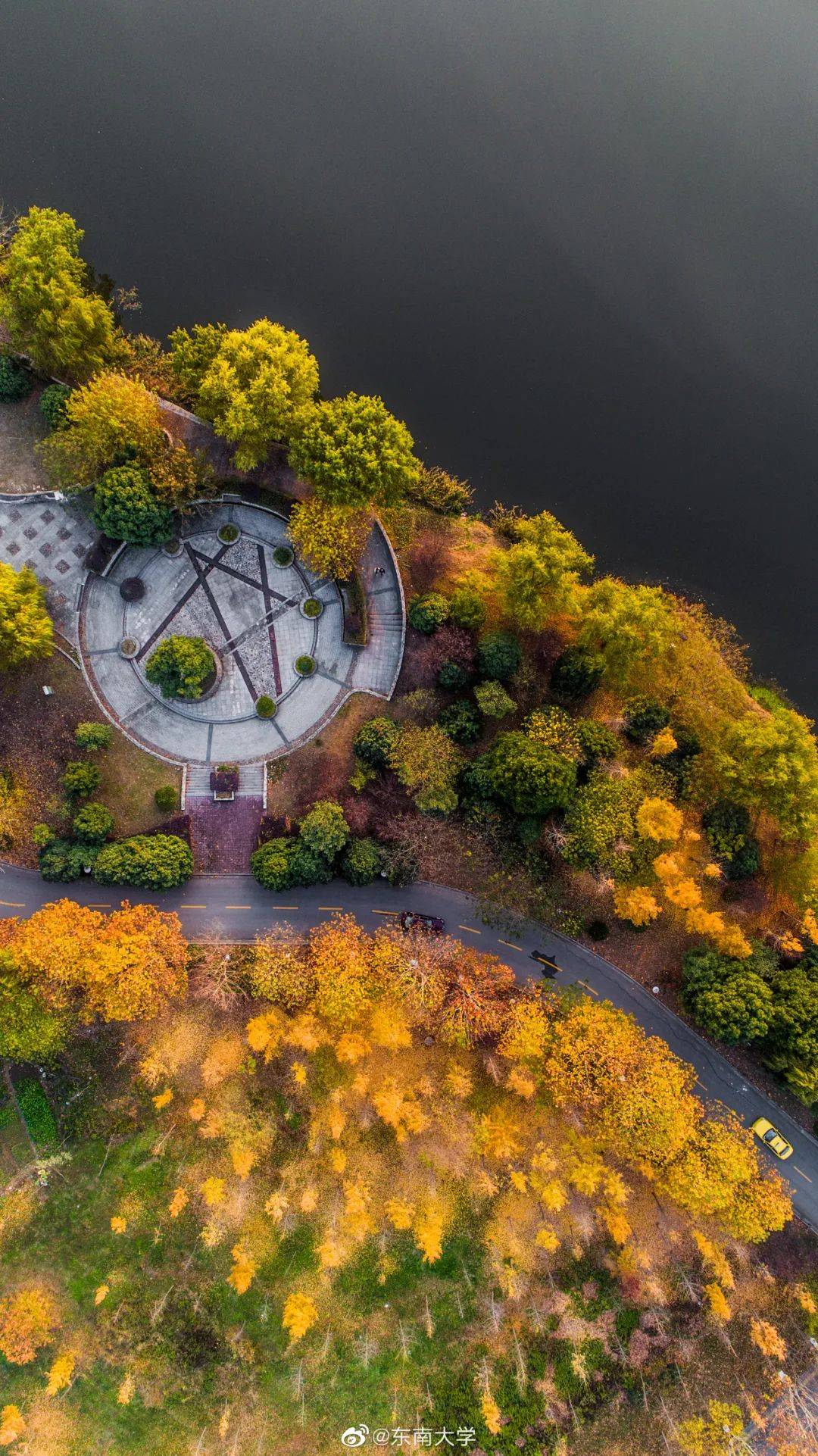官宣|高校“官宣”秋景来了，有你的校园记忆吗？
