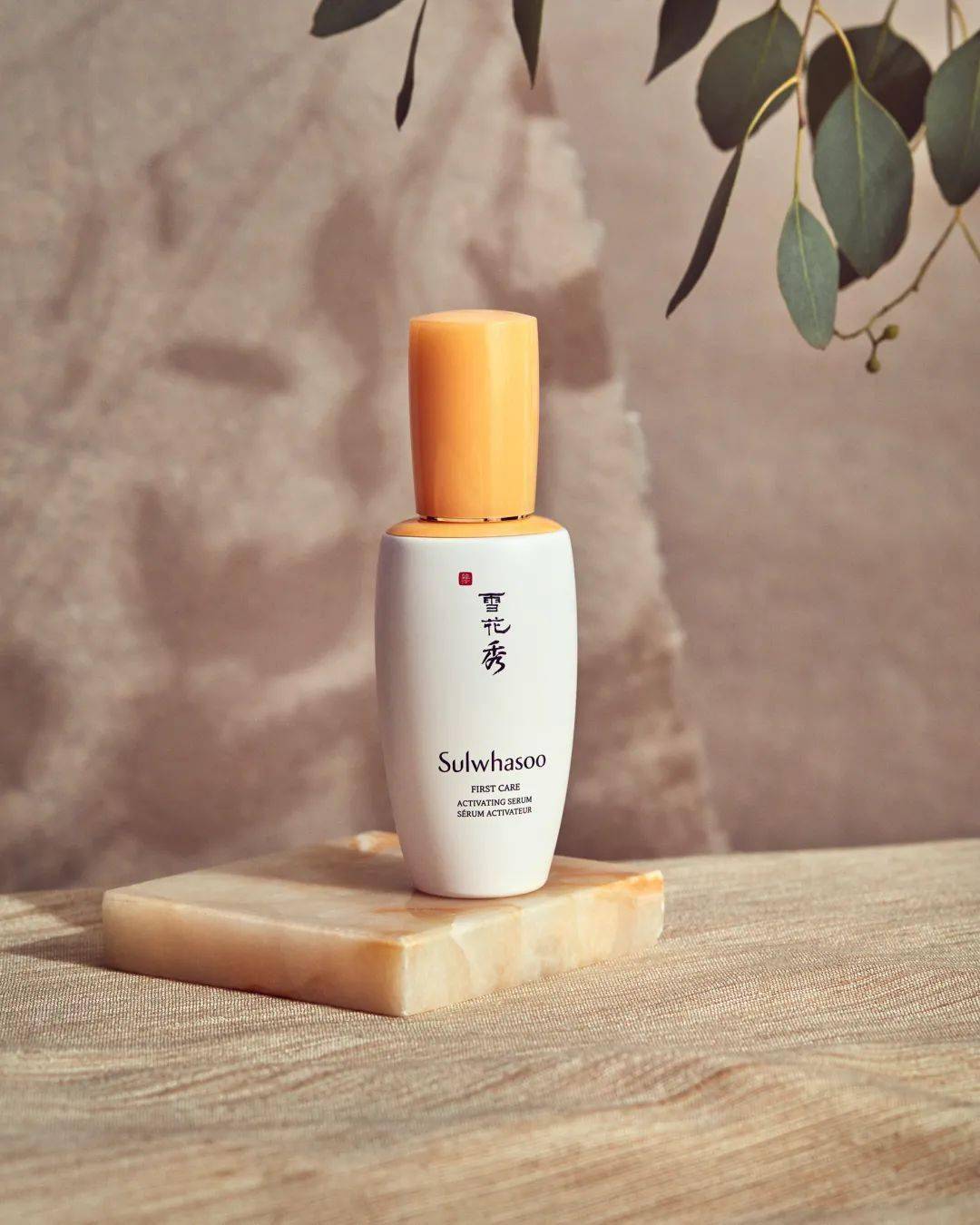 季节|无限回购|年末折扣季节,不能错过的护肤单品