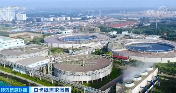 山东省|新限塑令催生白卡纸需求 造纸厂全天运转加大产量
