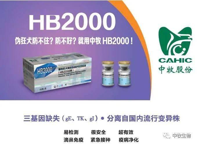 伪狂防不住快用中牧hb2000