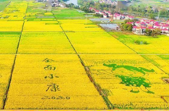 芦溪经济总量_经济(2)