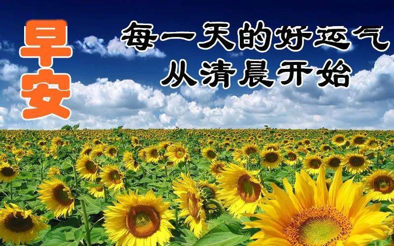 2020早安图片带字带祝福语 秋天早上好风景图片带字温馨