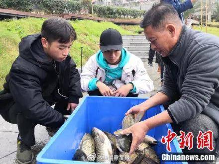 师生|3A景区高校捞2000斤鱼师生免费吃！网友酸了......