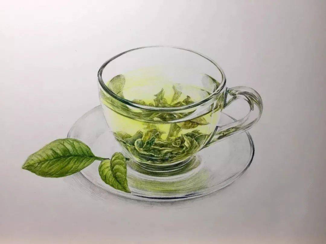 彩铅教程:《一杯绿茶》画法步骤