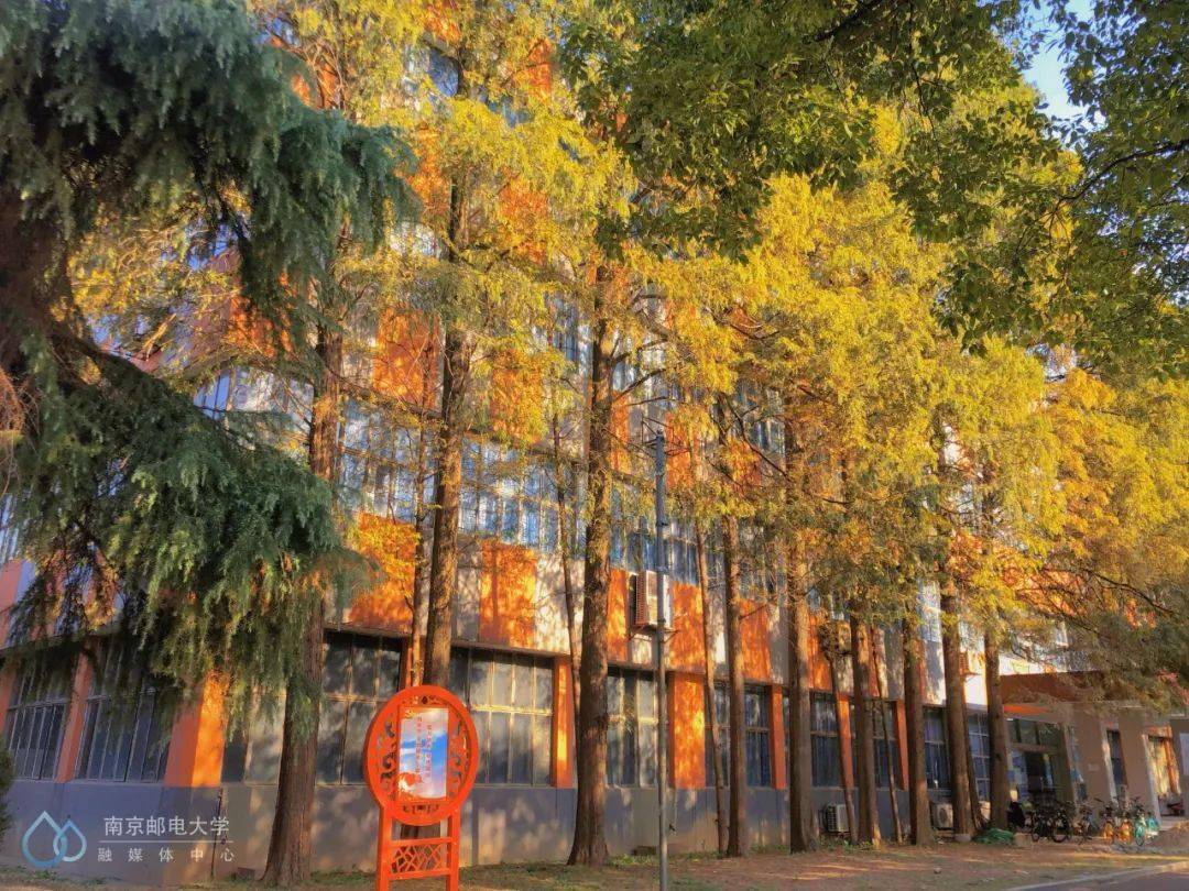 官宣|高校“官宣”秋景来了，有你的校园记忆吗？