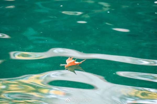 秋景大|高校秋景大赏丨想在春天种下一片色彩 在秋天送给你