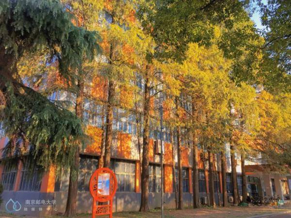 秋景|惊艳！高校官宣秋景来了，有你的母校吗？