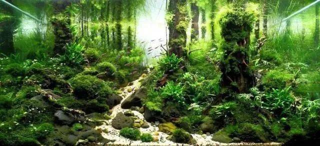 43db476f7ab04898833adf6f2efd25fd.jpeg