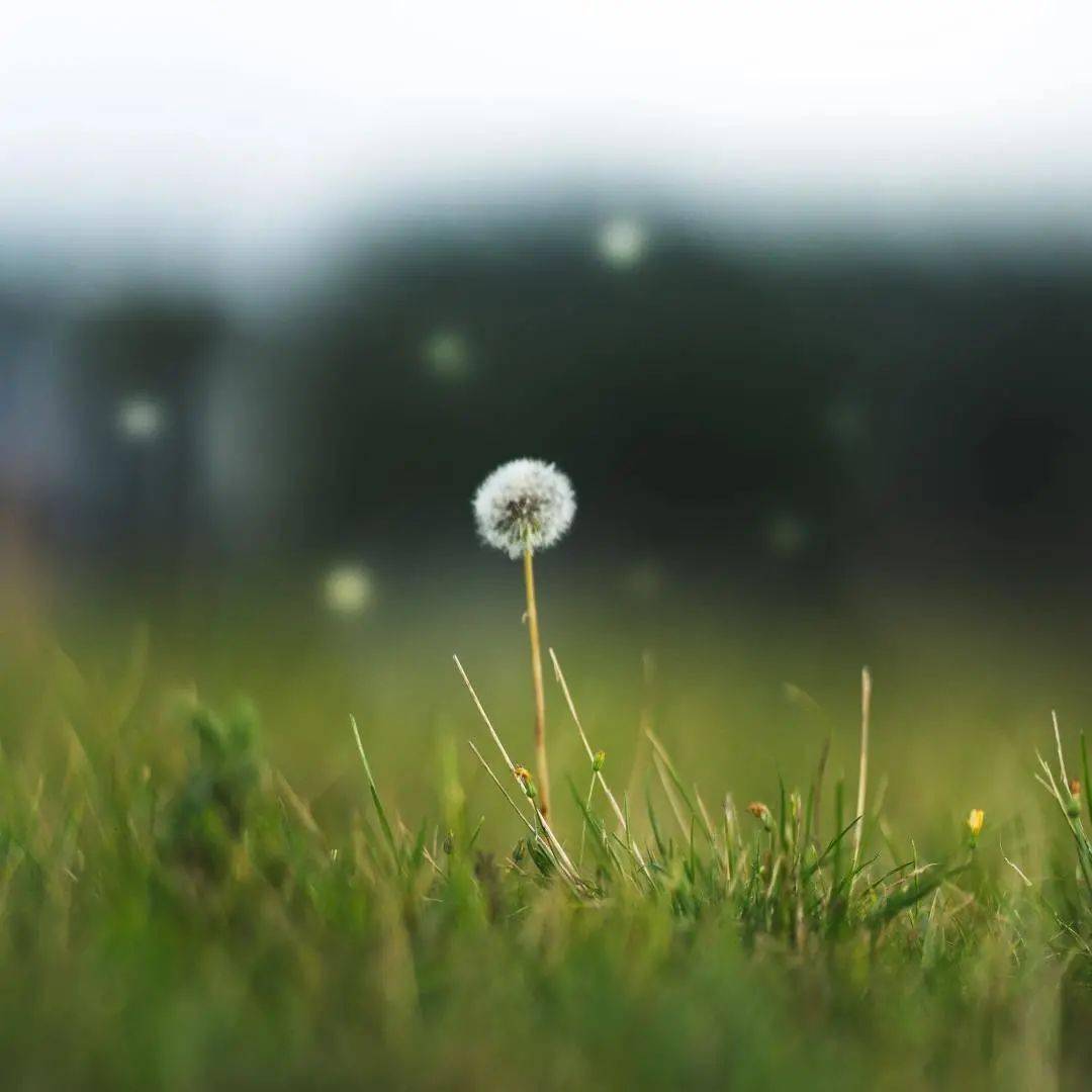 6220cb9c0a35499faa4282e6a8b77cd4.jpeg