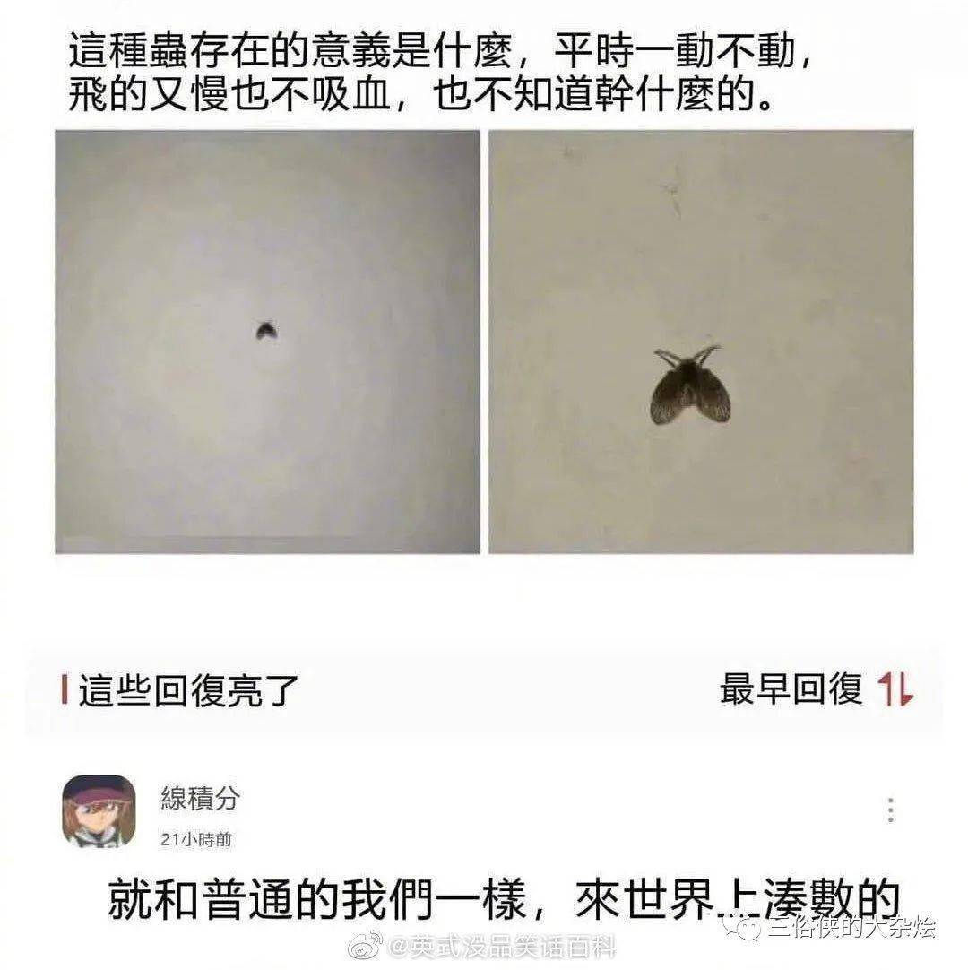 9938bf1f2b8146ef96b686b054613ec9.jpeg