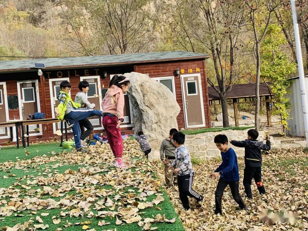 怎么在室外搭秋千_秋千怎么固定在树上(3)