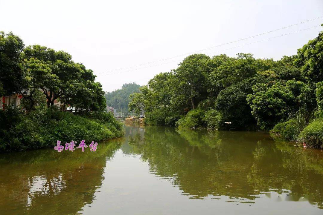 广东普宁高埔人口_广东揭阳普宁流沙地图