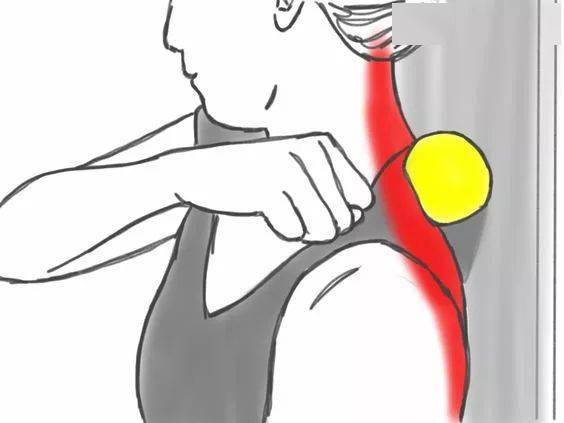 锻炼|赵丽颖再上热搜，锻炼生图线条感十足！更抓眼球的，是女神绝美的体态！