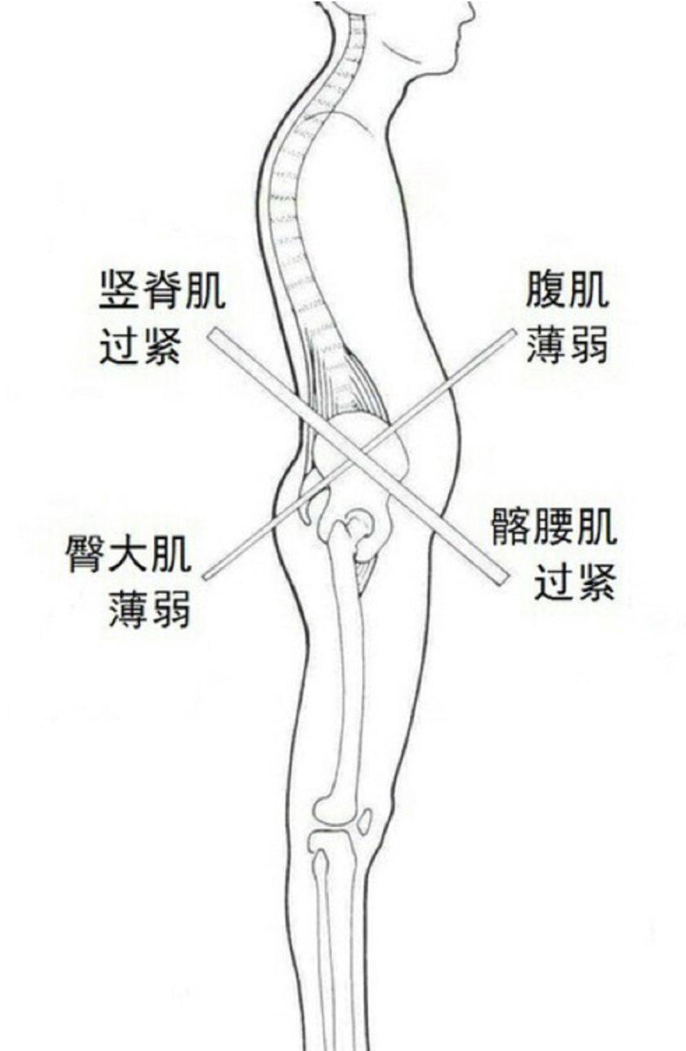 锻炼|赵丽颖再上热搜，锻炼生图线条感十足！更抓眼球的，是女神绝美的体态！