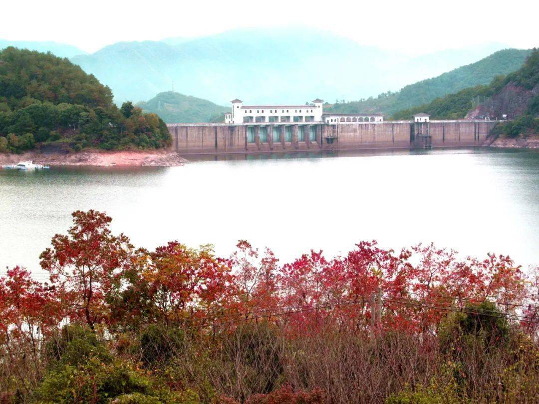 缤纷红叶,蓼子花海,醉美亭下湖!_水库