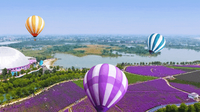 巨型热气球将空降驻马店,免费!