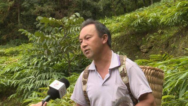 马关县有多少人口_马关县第一中学(3)