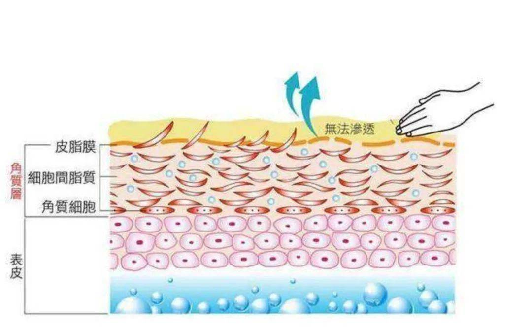 肌肤|嫩到掐出水！用一次比敷100片面膜还白润，10分钟感受女星同款水光肌！