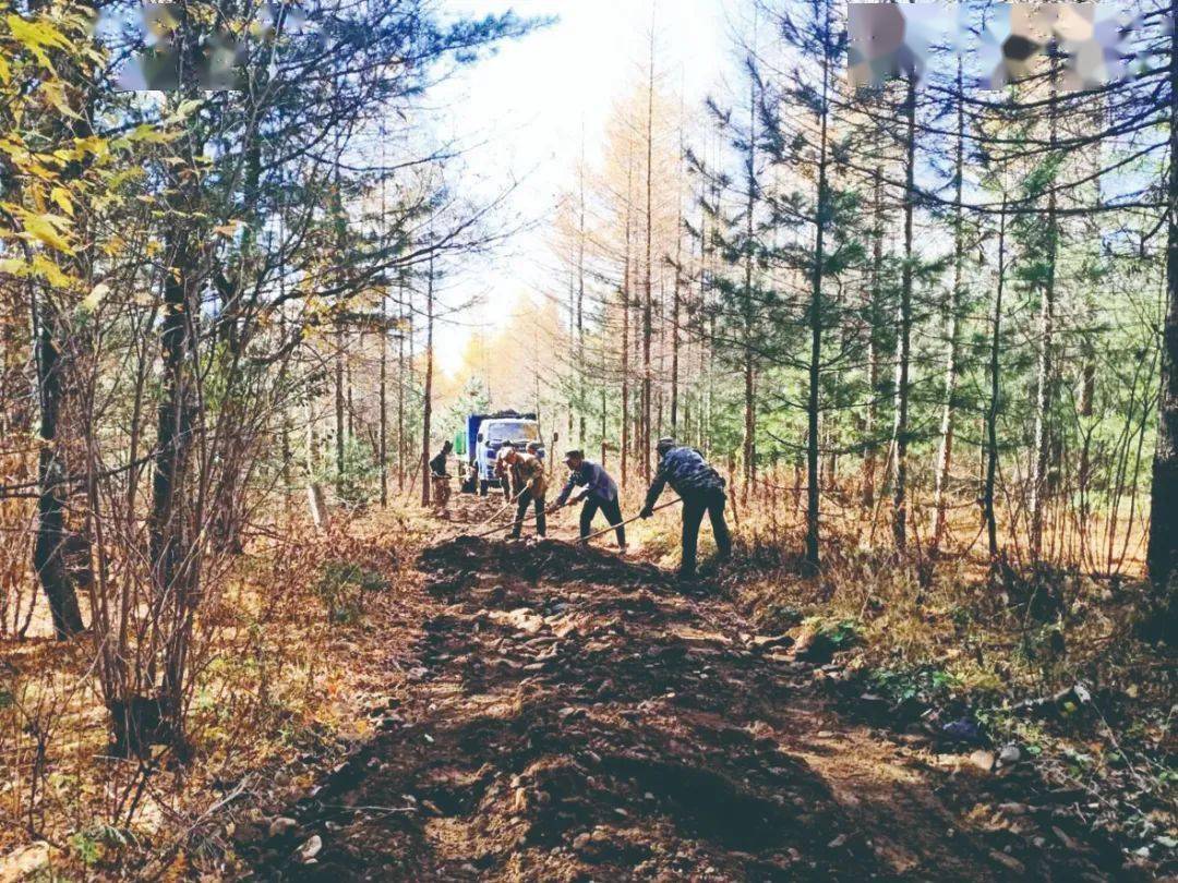 抚松县东岗镇经济总量_抚松县松江河镇规划图(2)